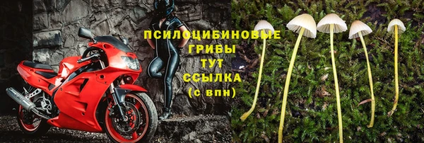 ECSTASY Абдулино