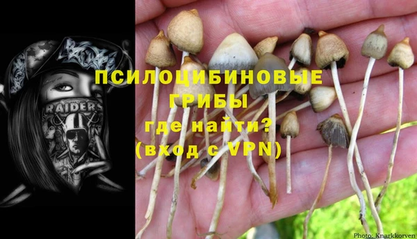 Альфа ПВП Алексеевка