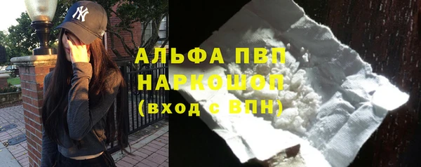 индика Великий Новгород